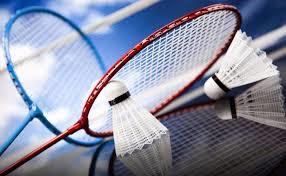 Badminton Image