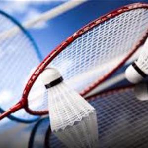 Badminton Image